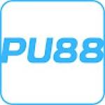 PU88 skin