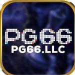 pg66 llc