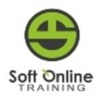 soft online training