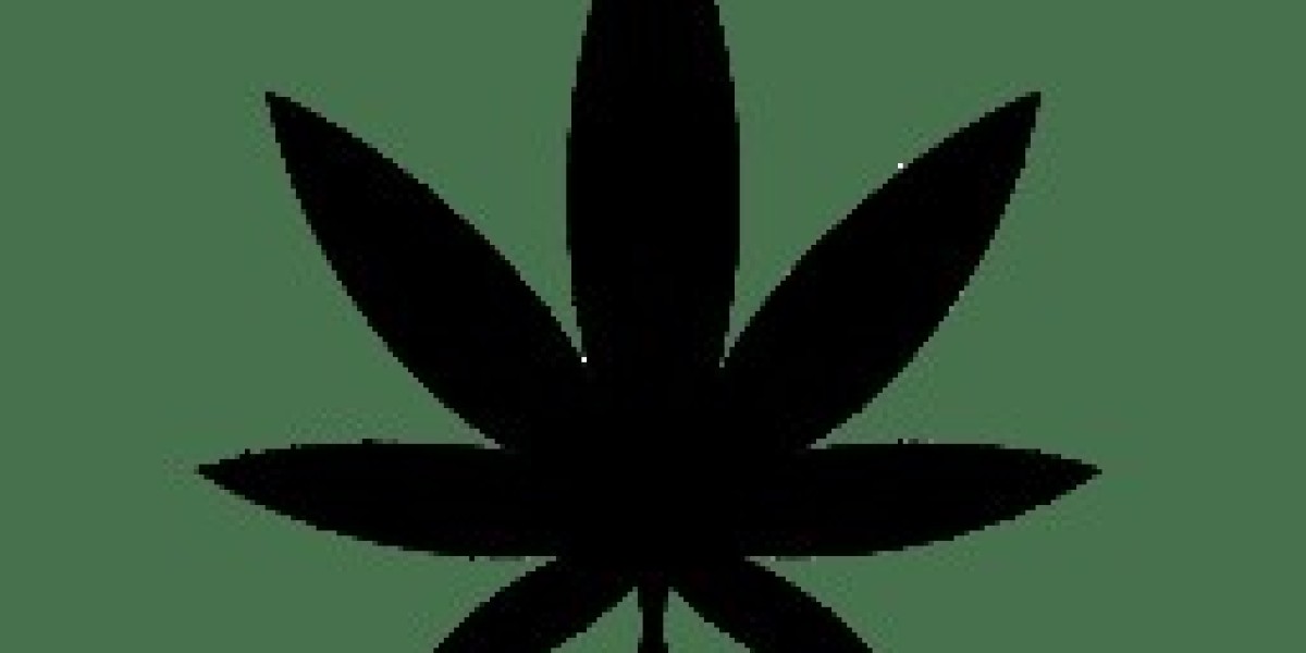 Autoflowering Cannabis Seeds: A Simple Guide to Fast-Growing Weed