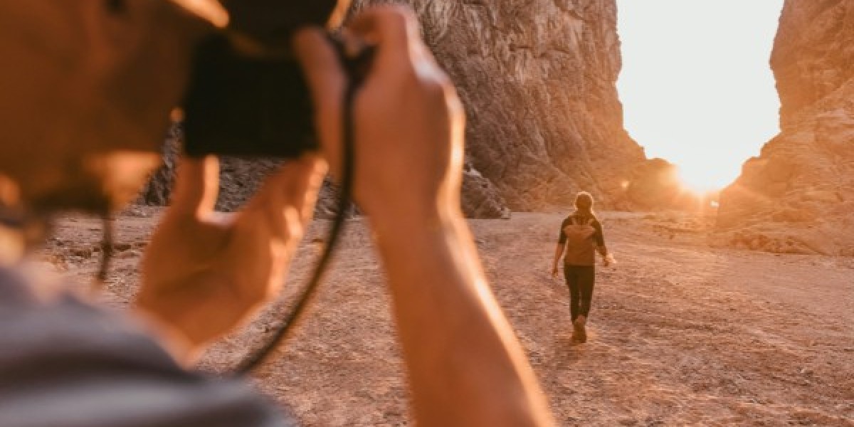 Cultivating Sustainable Urban Gardens: How Cities Can Grow Greener Futures