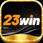 23WIN