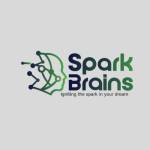 SparkBrains Team