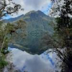 Erick Ovalle Profile Picture