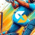 skyexchonline online